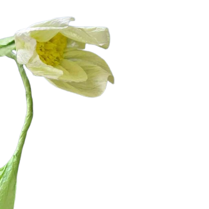 Detail von Blütengirlande creme TULIP ca. 160 cm Papiergirlande Dekoration bei www.luiseundfritz.de