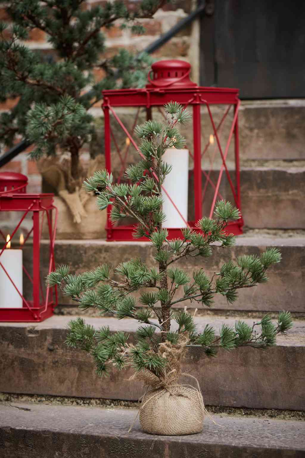 b Laursen ZEDER Baum ca. 60 cm Weihnachtsbaum Kunstpflanze im Jutesack diesen Artikel und noch viele andere schönen Dinge findest du hier im Shop bei www.luiseundfritz.de