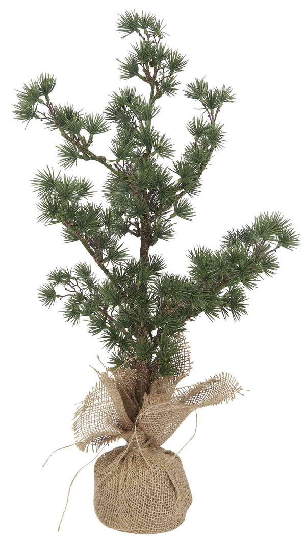 b Laursen ZEDER Baum ca. 60 cm Weihnachtsbaum Kunstpflanze im Jutesack dieses Produkt findest du hier im Shop bei www.luiseundfritz.de