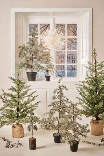 Stimmungsfoto mit Weihnachtsbäumen künstlich, von Ib Laursen und ZEDERNBAUM groß ca. 120x60 cm Weihnachtsbaum ☆ Kunstpflanze im Topf erhältlich bei www.luiseundfritz.de