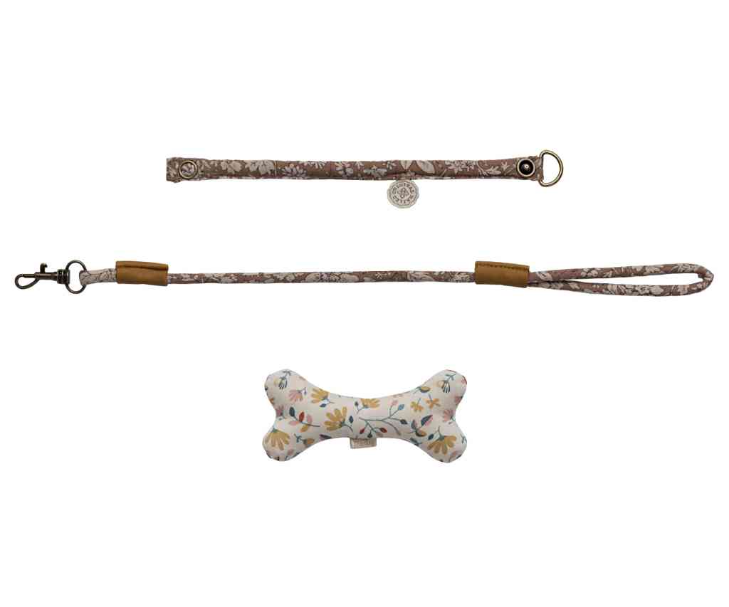 Koffer mit Leine, Knochen und Halsband
