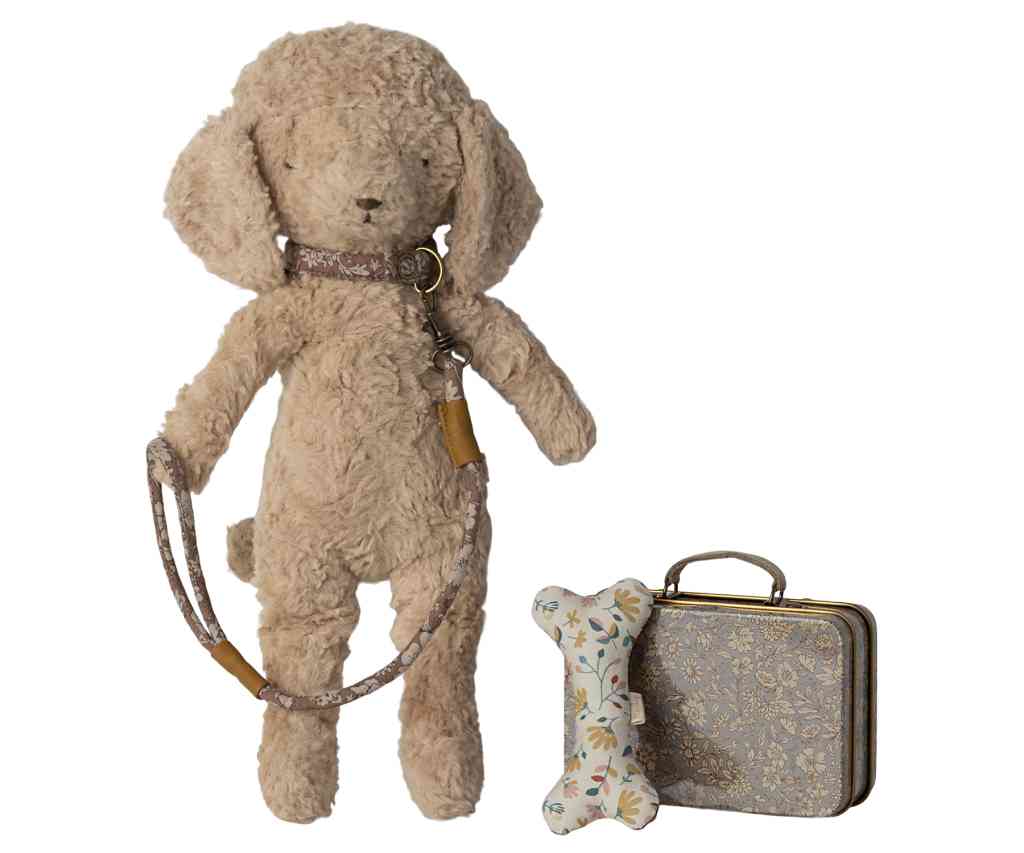 Koffer mit Leine, Knochen und Halsband