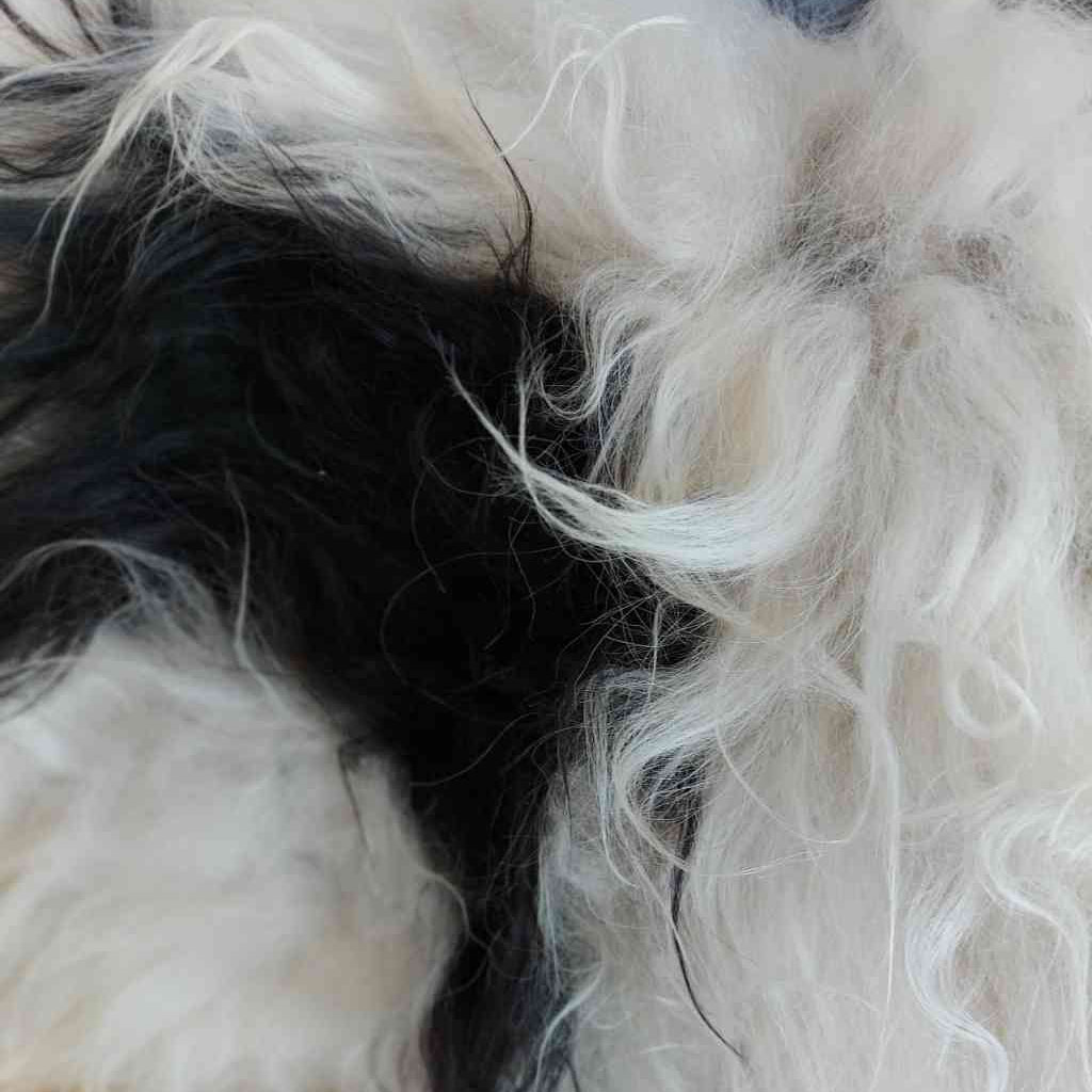 Detailfoto von Schaffell ISLAND SCHAF multicolor weiß anthrazit groß ca. 110x75 cm erhältlich bei www.luiseundfritz.de