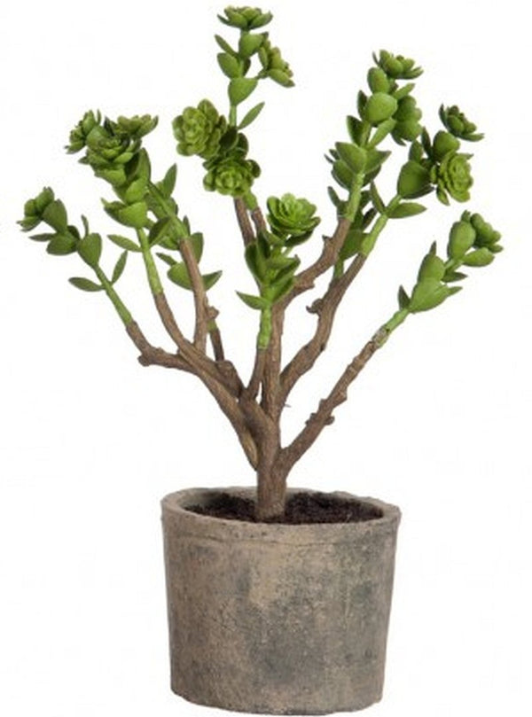 Pflanze Kunstpflanze im Topf ECHEVERIA grün Grünpflanze 28 cm J L -  | www.luiseundfritz.de
