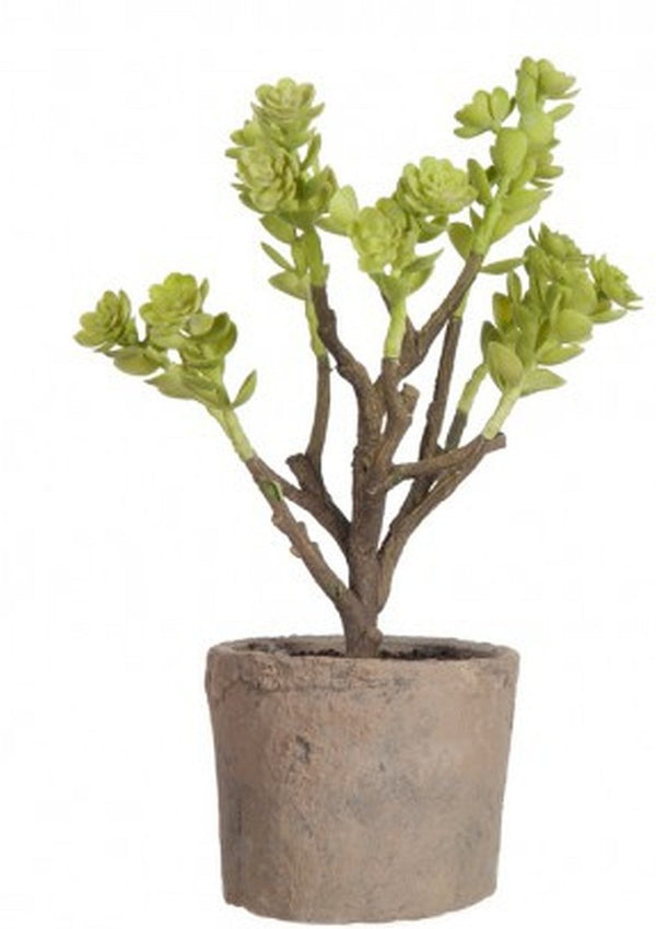 Pflanze Kunstpflanze im Topf ECHEVERIA hellgrün Grünpflanze 28 cm -  | www.luiseundfritz.de