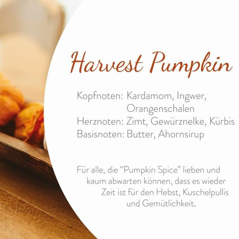 www.luiseundfritz.de