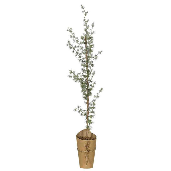 ZEDER Baum 75x15 cm Kunstpflanze ☆ im Papiertopf | Ib Laursen