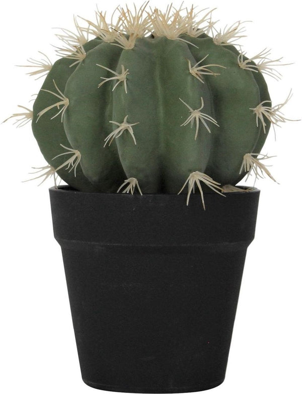 KAKTUS Kunstpflanze im Topf 15x24 cm FLORA Cactus | Dekoration |. -  | www.luiseundfritz.de