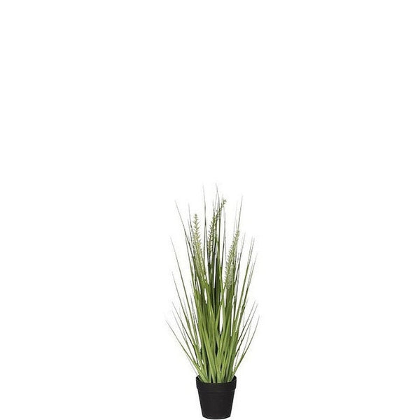 Kunstpflanze Pflanze im Topf GRAS 50 cm Grünpflanze Topfpflanze J LINE - KUNSTPFLANZEN | www.luiseundfritz.de