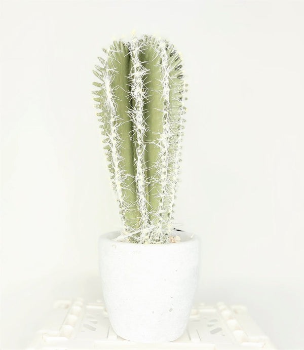 Pflanze Kunstpflanze CACTUS Kaktus im Steintopf 22 cm | PINELAKE LODGE -  | www.luiseundfritz.de