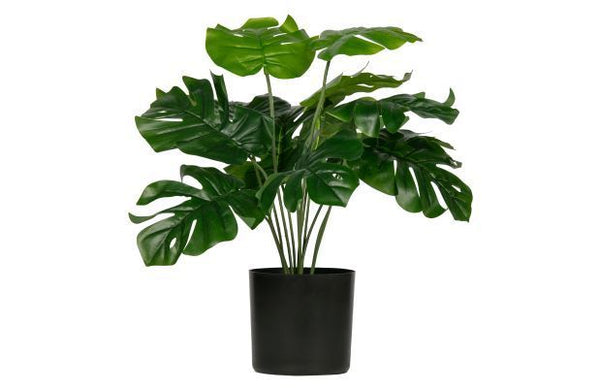 Pflanze MONSTERA Kunstpflanze ca. 40 cm | künstliches Fensterblatt aus der Kollektion WOOOD - KUNSTPFLANZEN | www.luiseundfritz.de