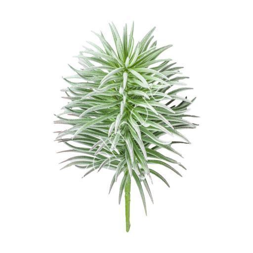 Kunstpflanze Succulente leicht beflockt 11x24 cm | Colmore -  | www.luiseundfritz.de